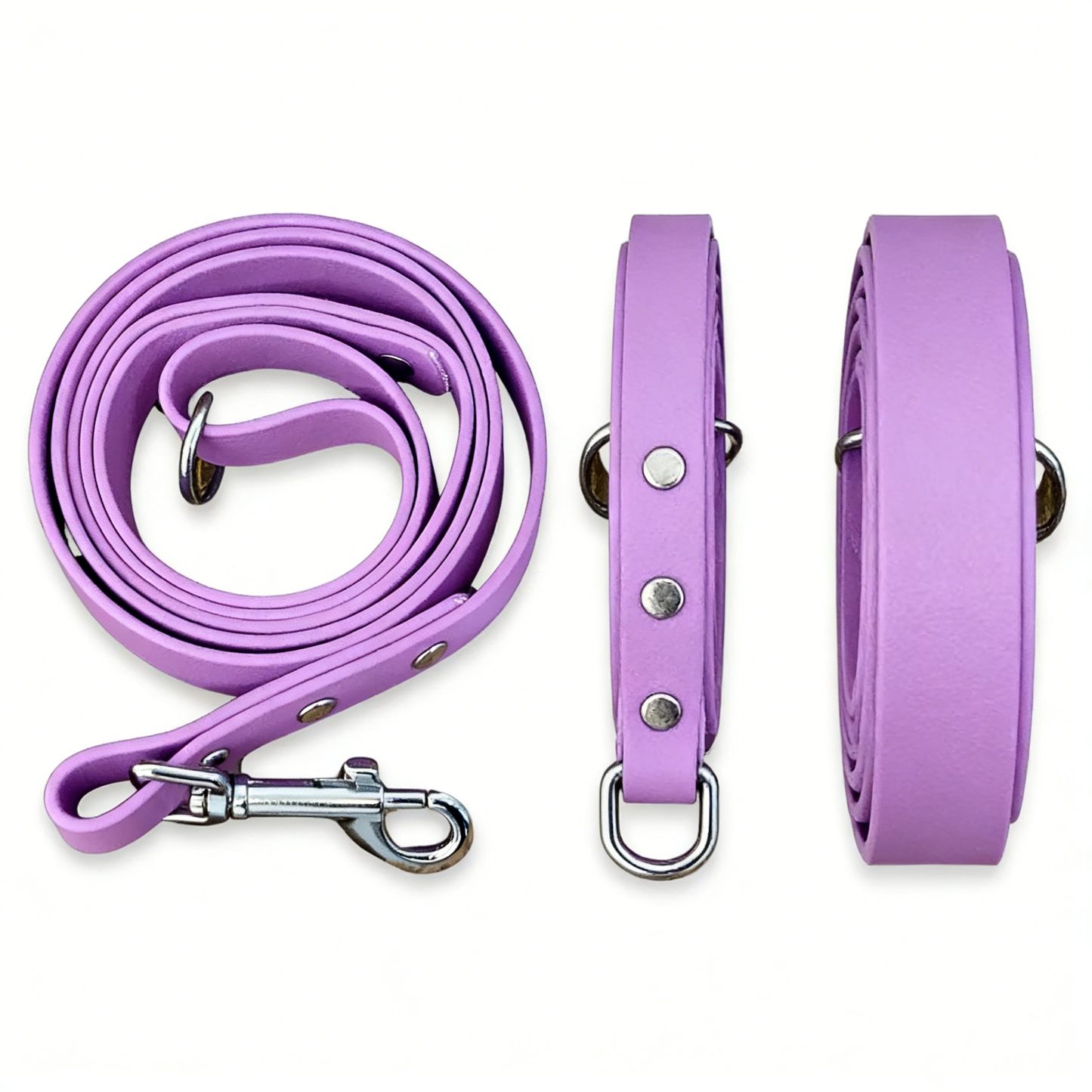 Biothane Waterproof Leash
