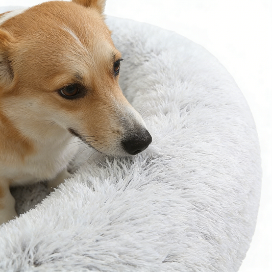 Calming Donut Dog Bed