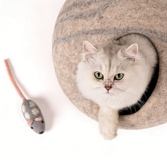 Cat Cave Bed Felt House