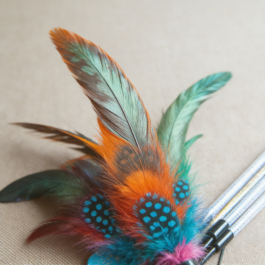 Catnip Silvervine Stick Pack