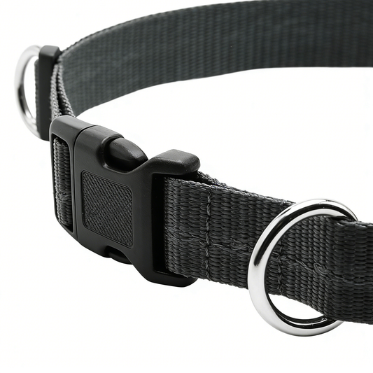 Hands Free Running Leash