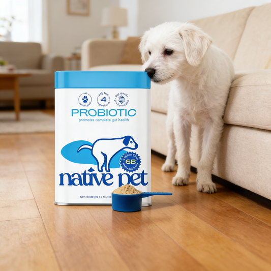 Probiotic Powder Supplement