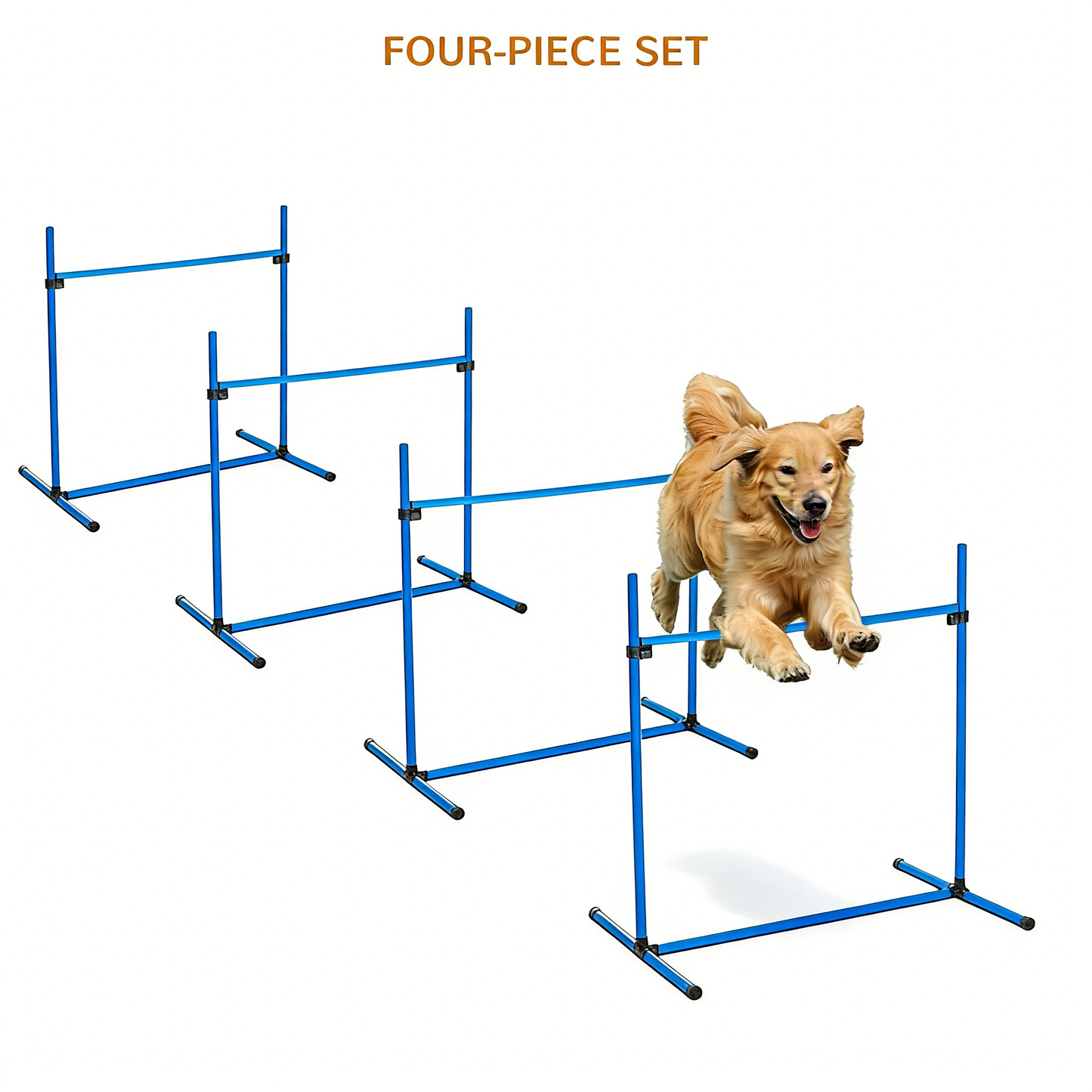 Agility Hurdle Set - Premium Quality White Background