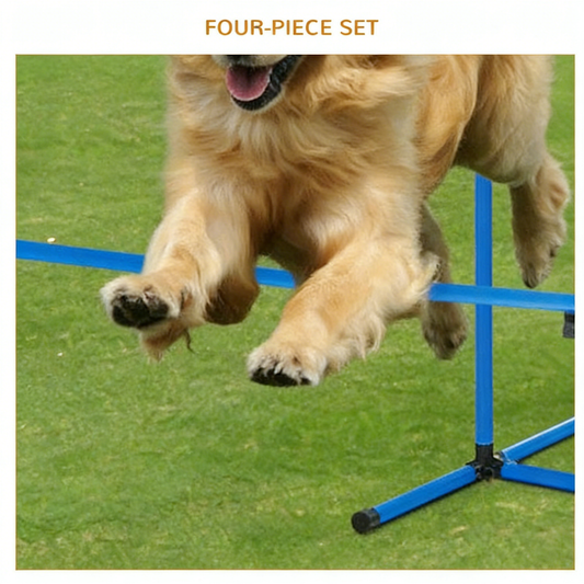 Agility Hurdle Set