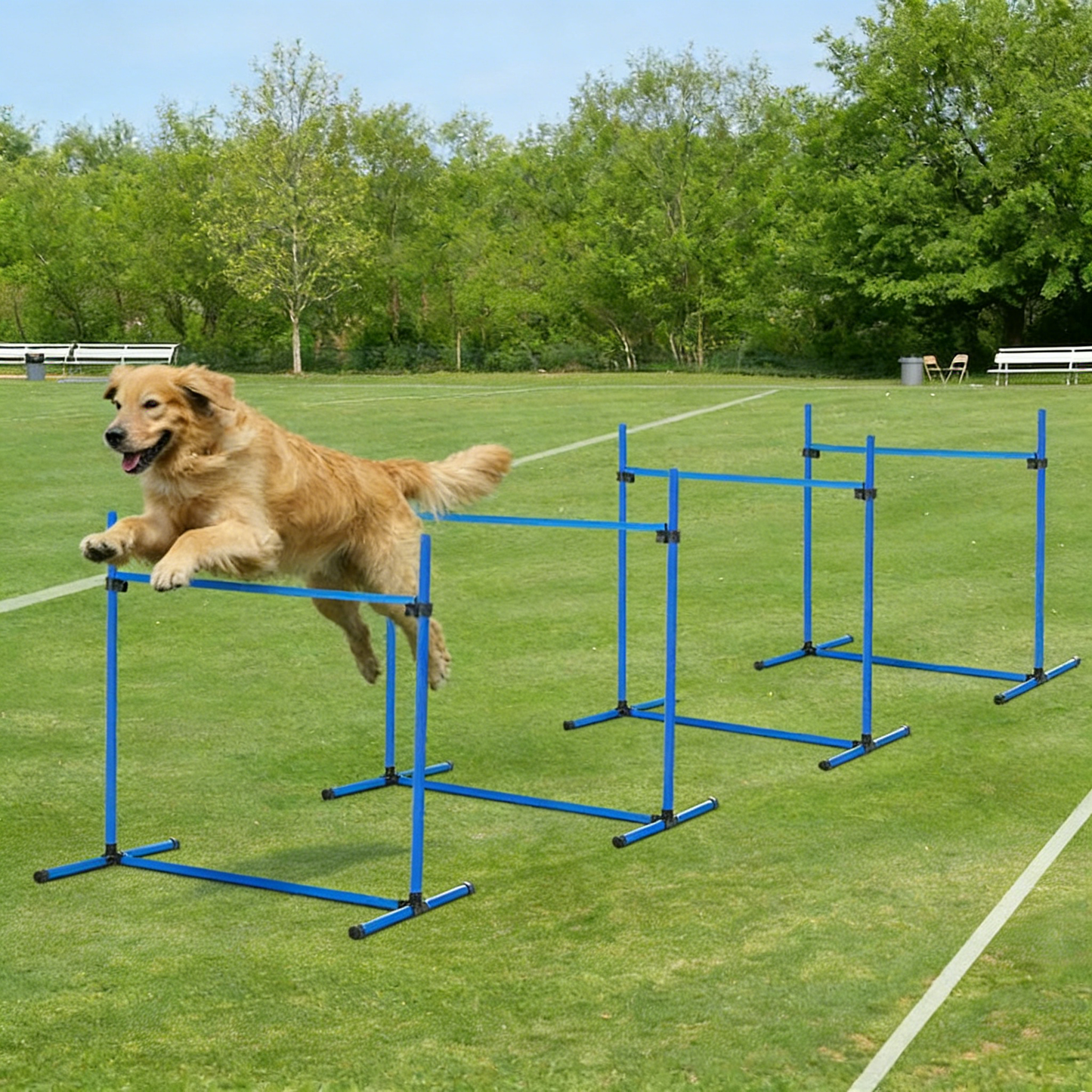 Agility Hurdle Set