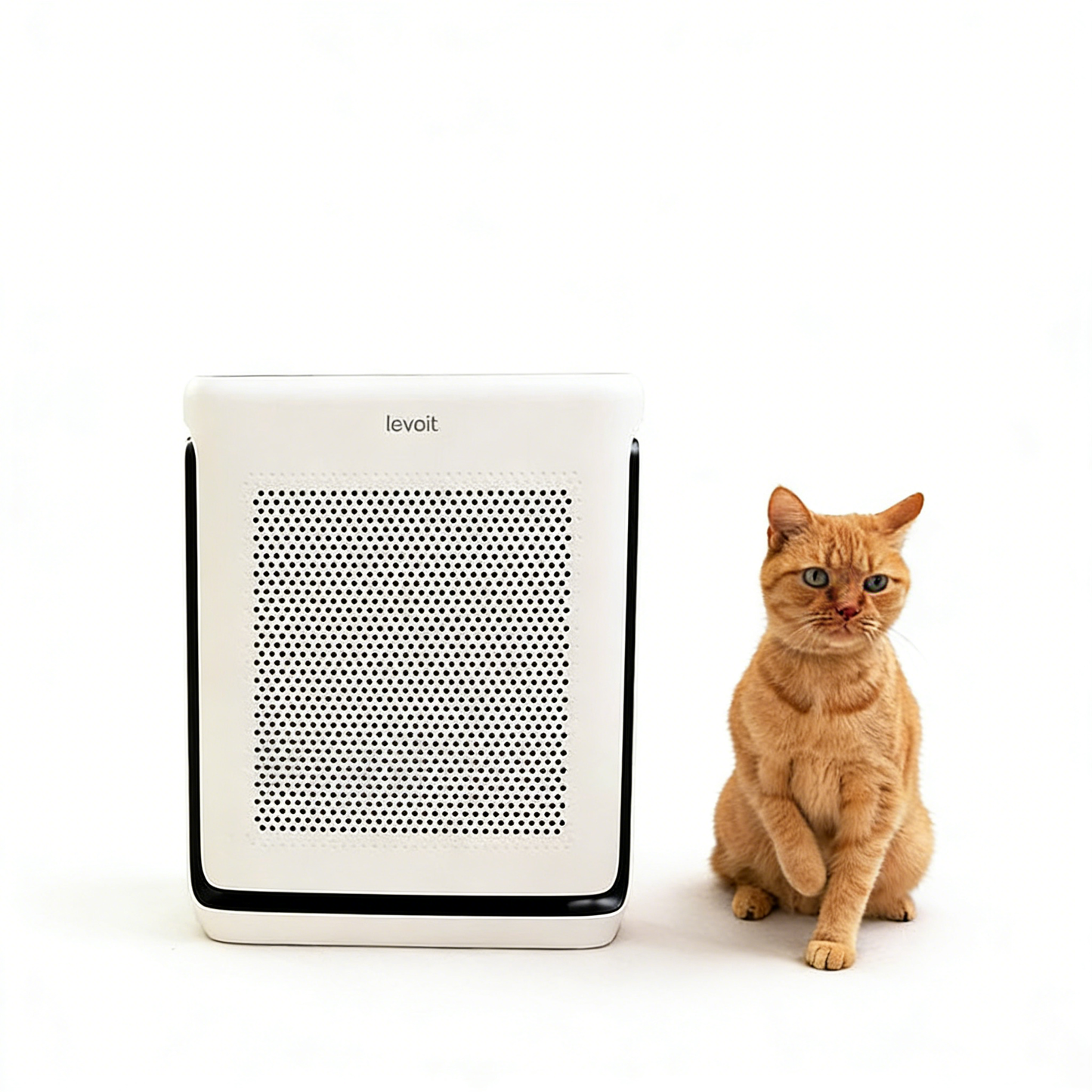 Air Purifier for Pet Dander - Premium Quality White Background