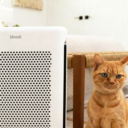 Air Purifier for Pet Dander
