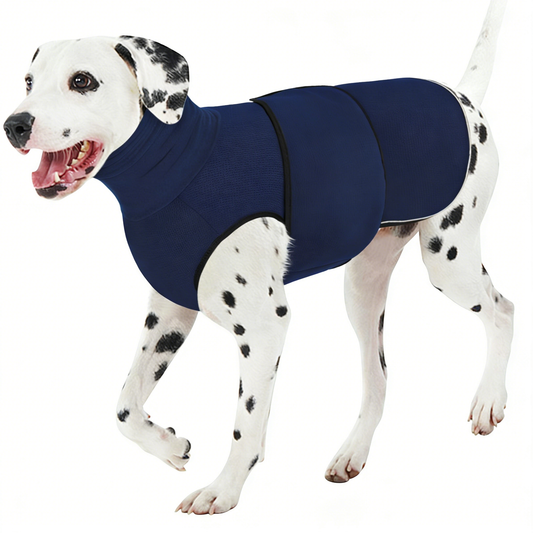 Calming Anxiety Vest - Premium Quality White Background