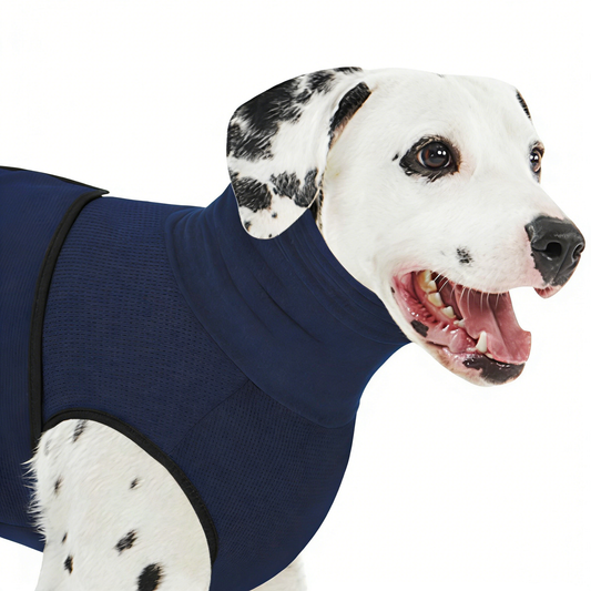 Calming Anxiety Vest