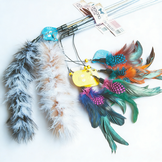 Catnip Silvervine Stick Pack - Premium Quality White Background