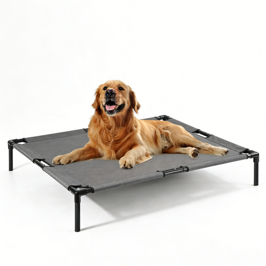 Elevated Cooling Dog Bed - Premium Quality White Background