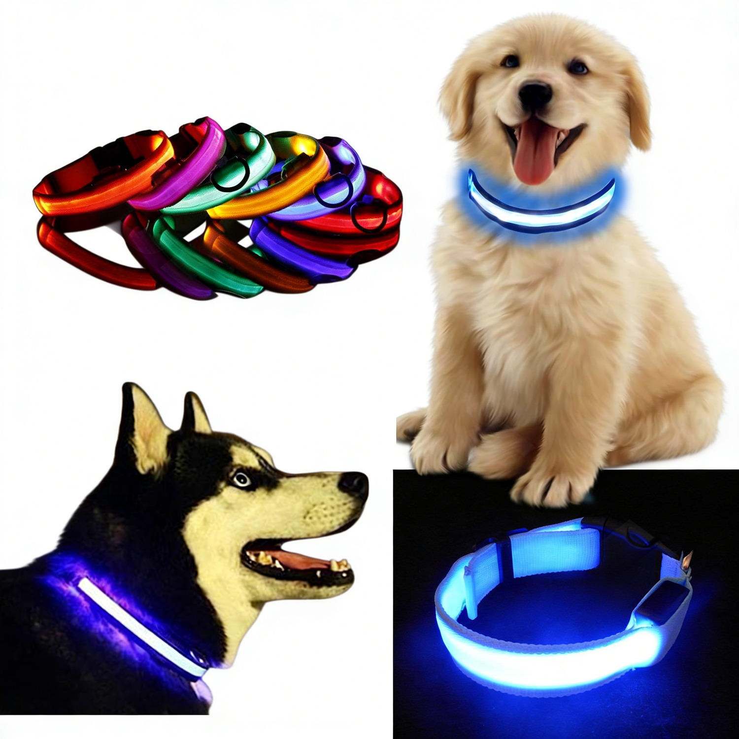 LED Light Up Dog Collar - Premium Quality White Background
