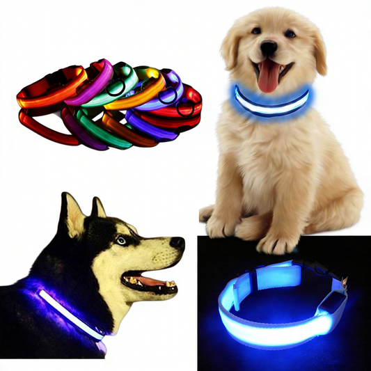 LED Light Up Dog Collar - Premium Quality White Background