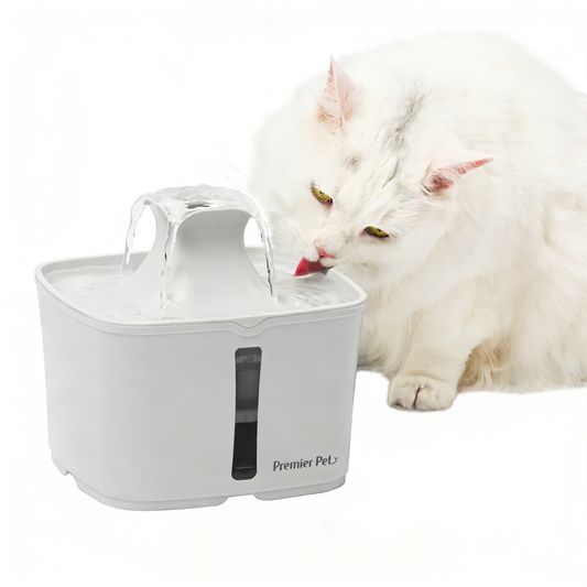 Pet Water Fountain Filtered - Premium Quality White Background