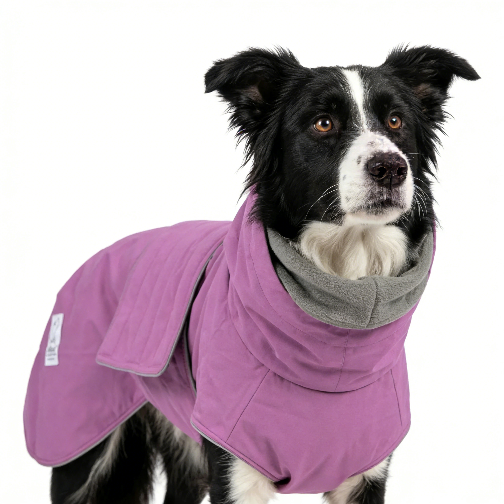 Waterproof Dog Raincoat - Premium Quality White Background